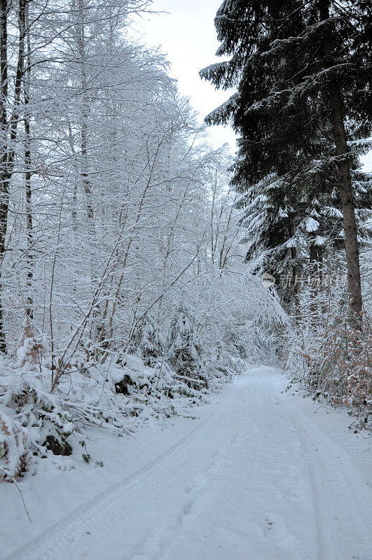 雪景:chemin forestier to St Bresson en haute - saone(特许权伯爵)(法国)